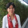 Mercedes Maria da Cunha Bustamante